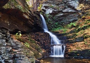 waterfall in the SHENANDOAH VALLEY