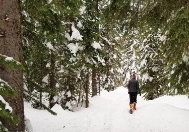 Some of the Most Scenic Hikes in Washington State 2 snowy hiking in horseshoe prairie trail