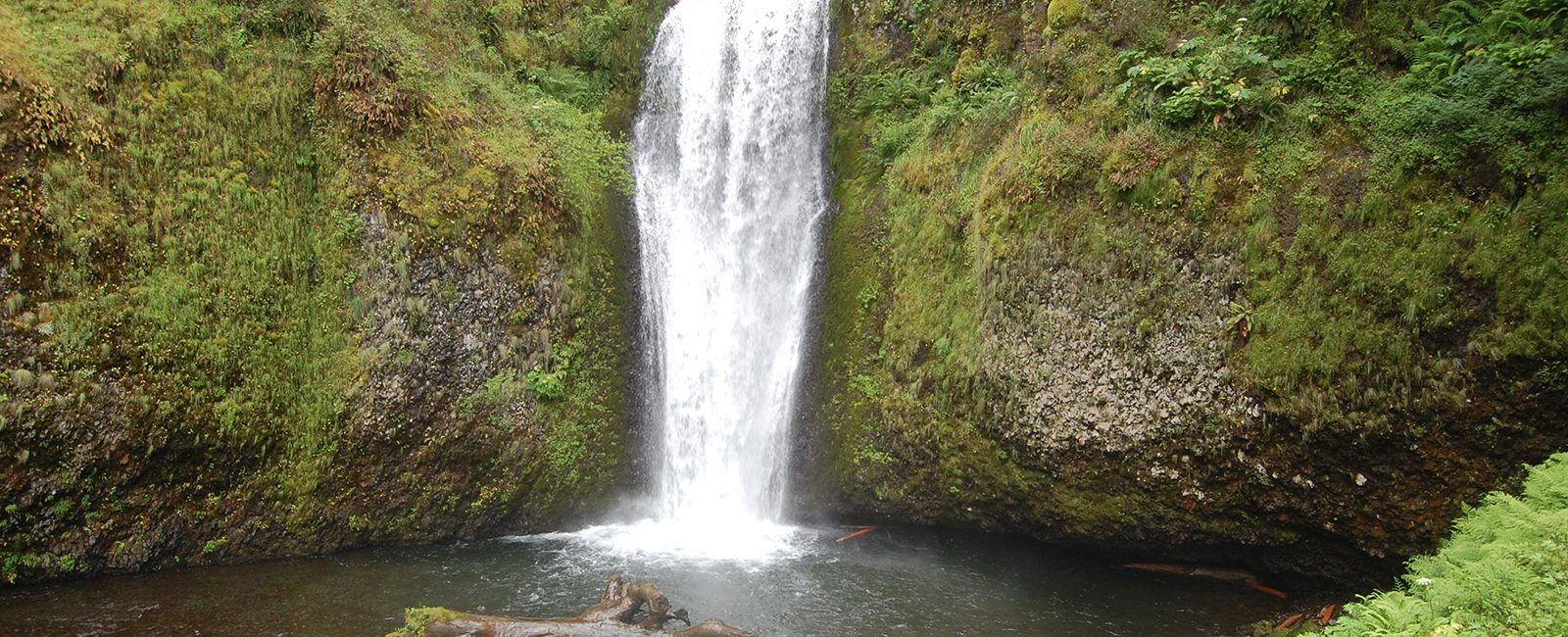 Some Of The Most Scenic Hikes In Washington State Select Registry