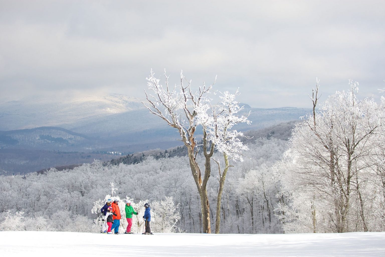 plan-your-next-winter-trip-to-one-of-the-best-states-for-skiing