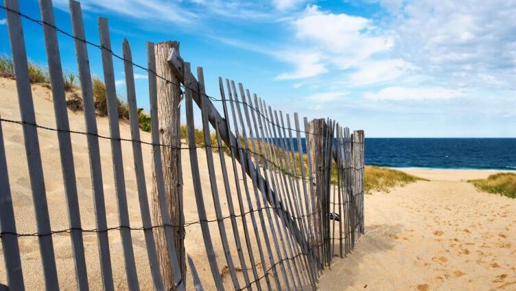 CAPE COD BEACHES