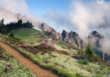 OlympicNationalPark_PurestockThinkstock-400×266.jpg Olympic National Park Trail