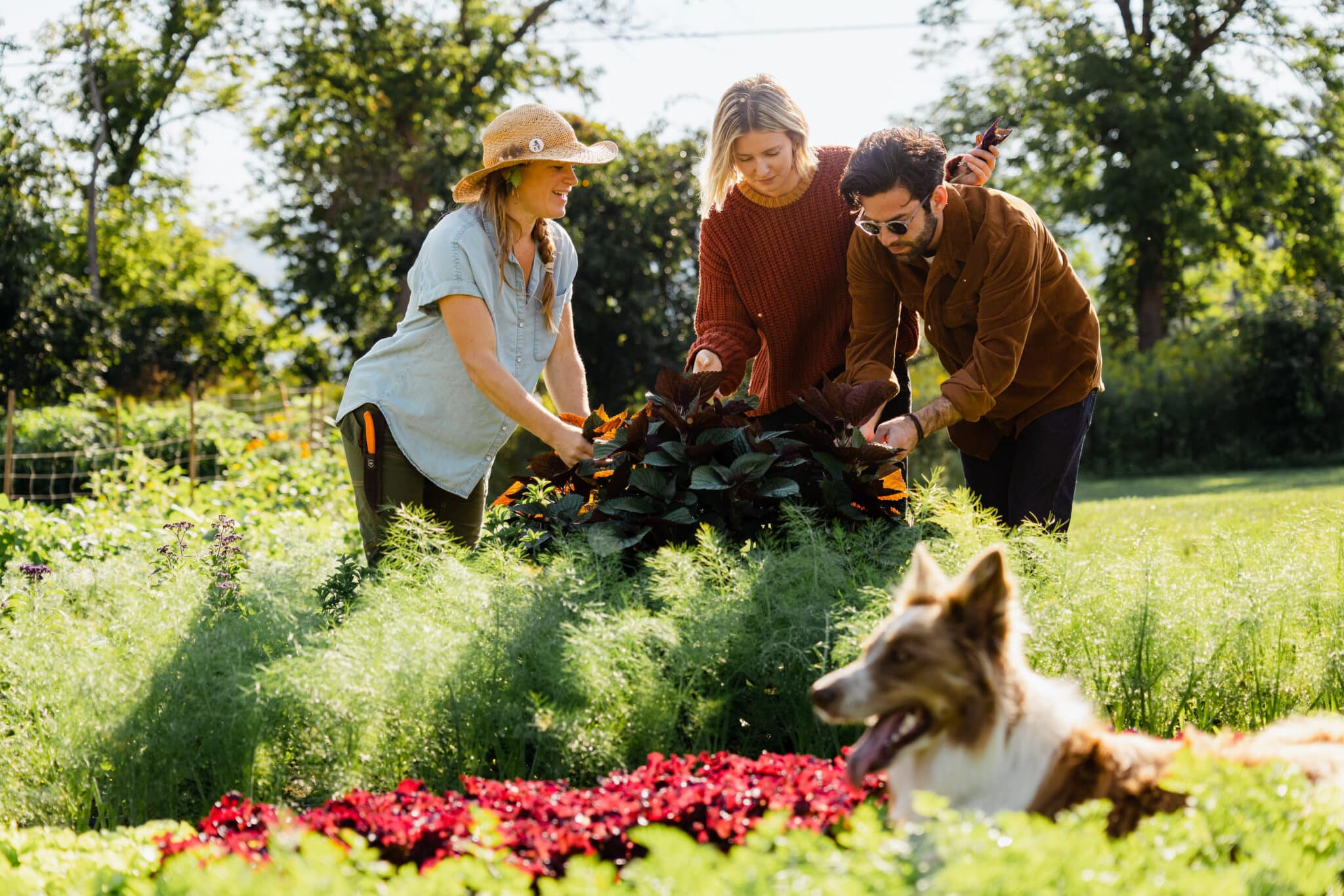 outdoor gardening