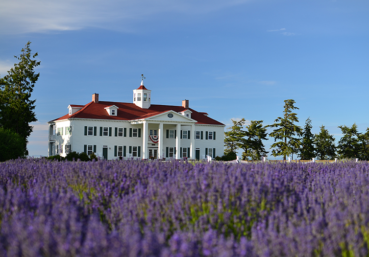 George Washington Inn Exterior Lavender Field