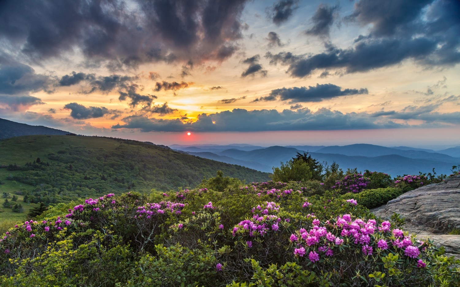 Stunning Locations in The Blue Ridge Mountains to Call Home - The Cliffs