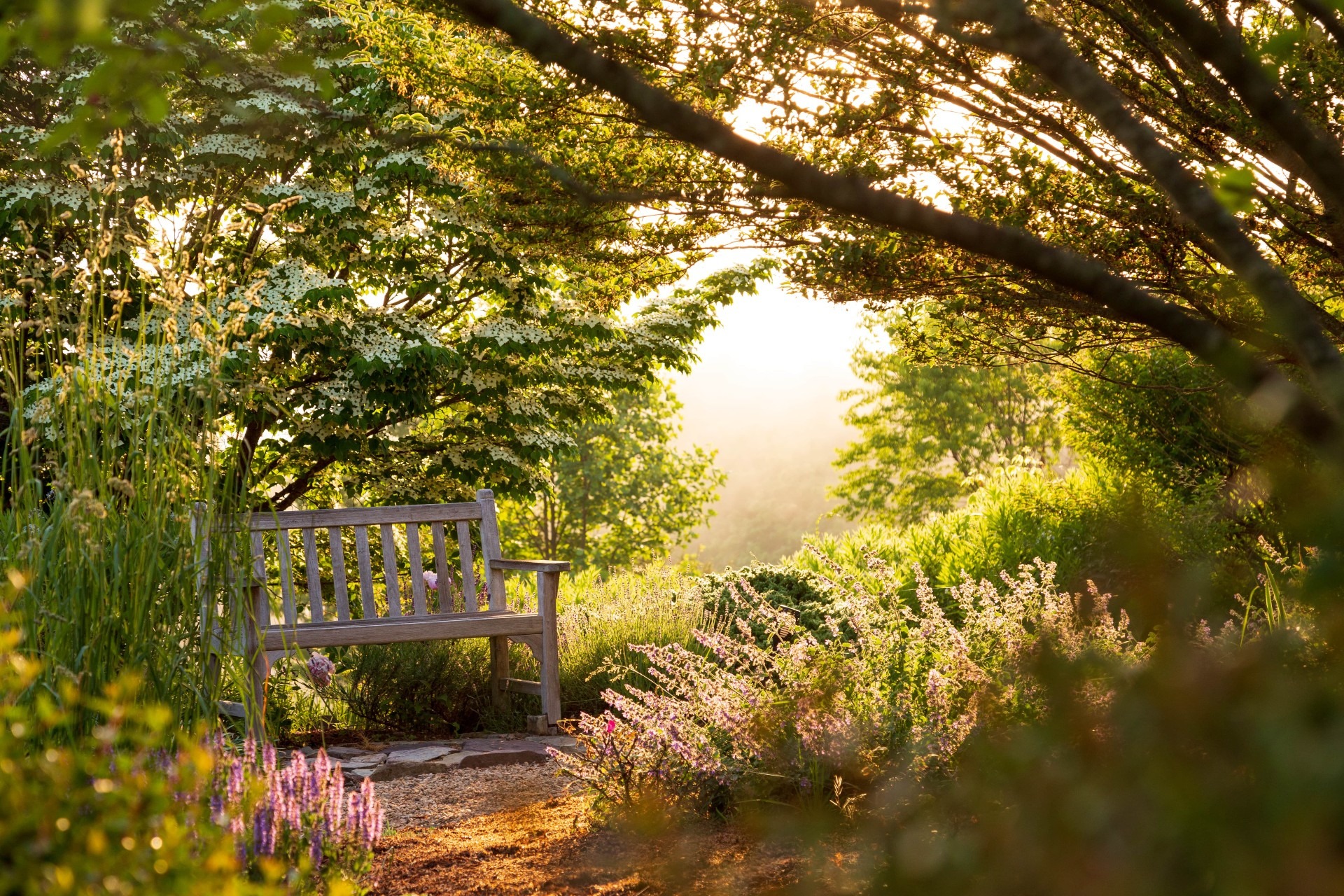 brierley_gardens10