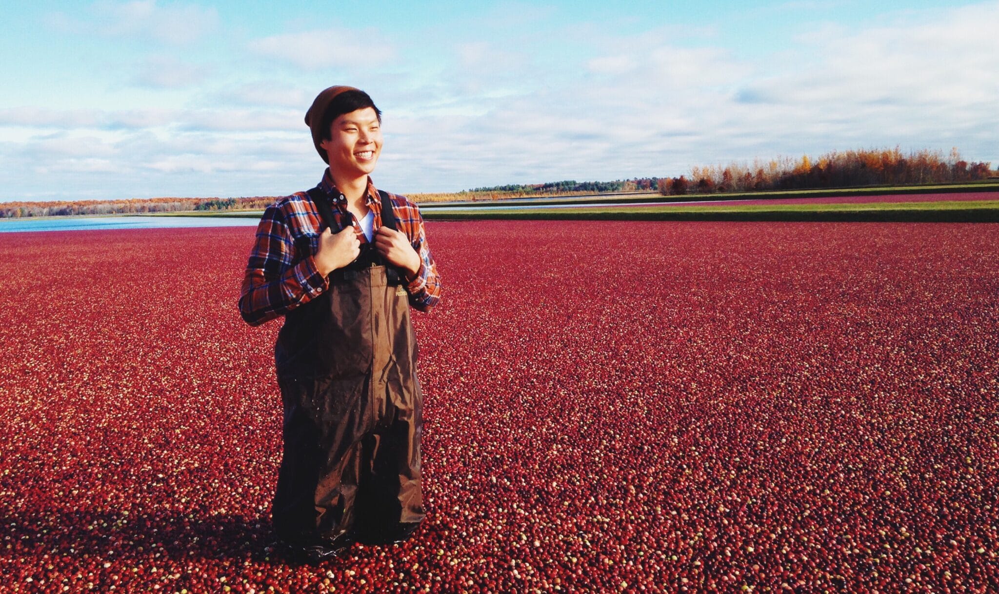 cranberry field