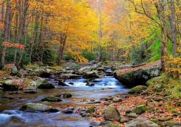 a river flowing over rocks