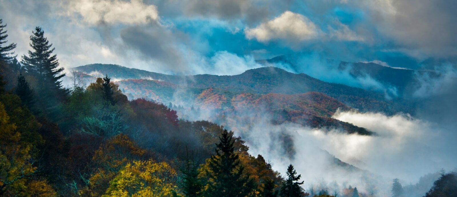 Smoky Mountains Collections.