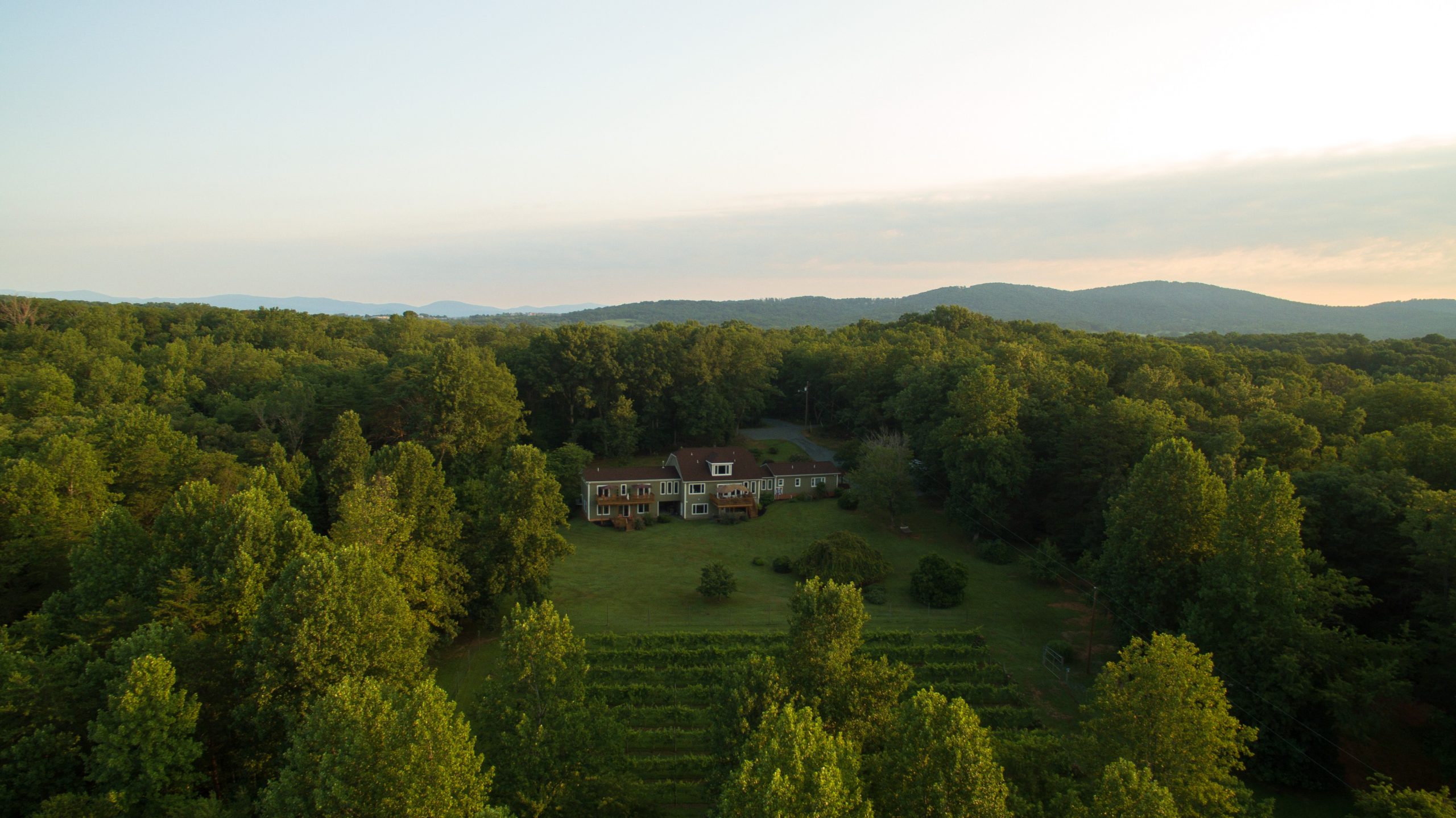 Aerial view of B&B surrounded by a lush green lawn, hundreds of green trees, and distant mountains