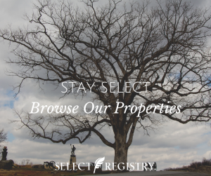 Gettysburg Tree and civil war monument and civil war era weaponry
