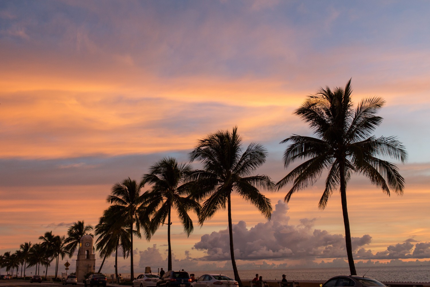 sun sets behind west palm beach palm trees beautiful pinks blues and purples