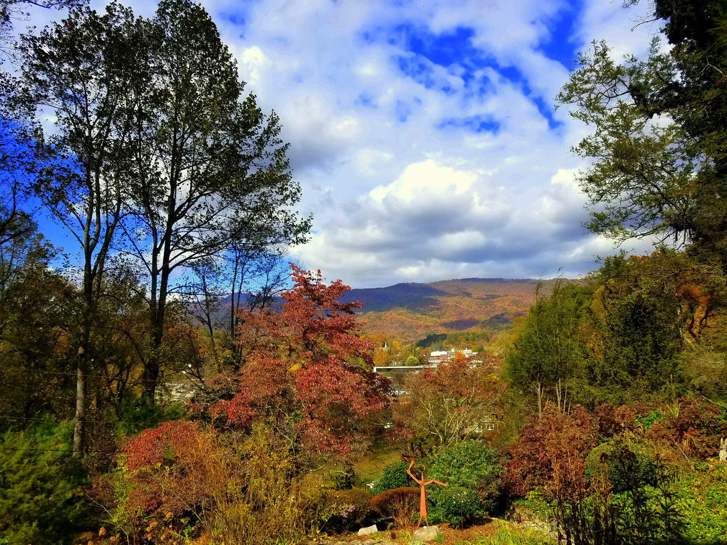 Autumn View
