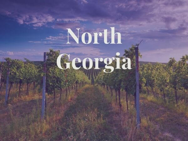 Winery in North Georgia
