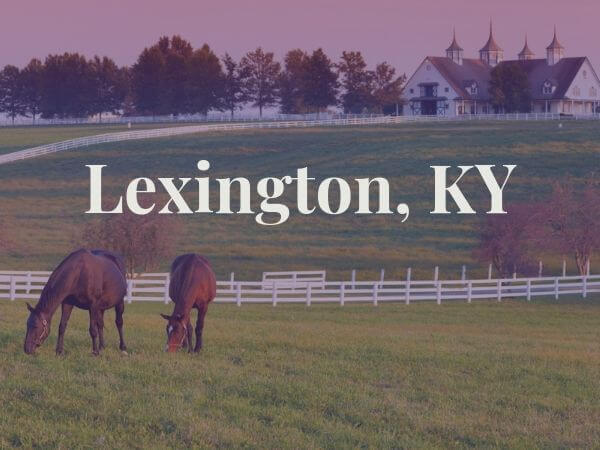 horses in field in lexington