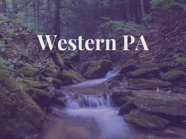 River flowing through Western PA