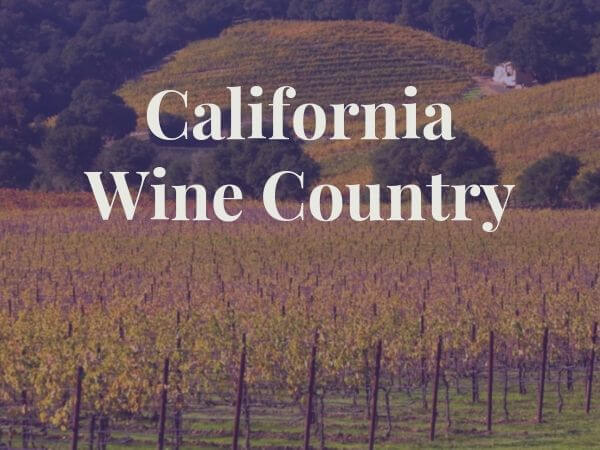 Winery view in California