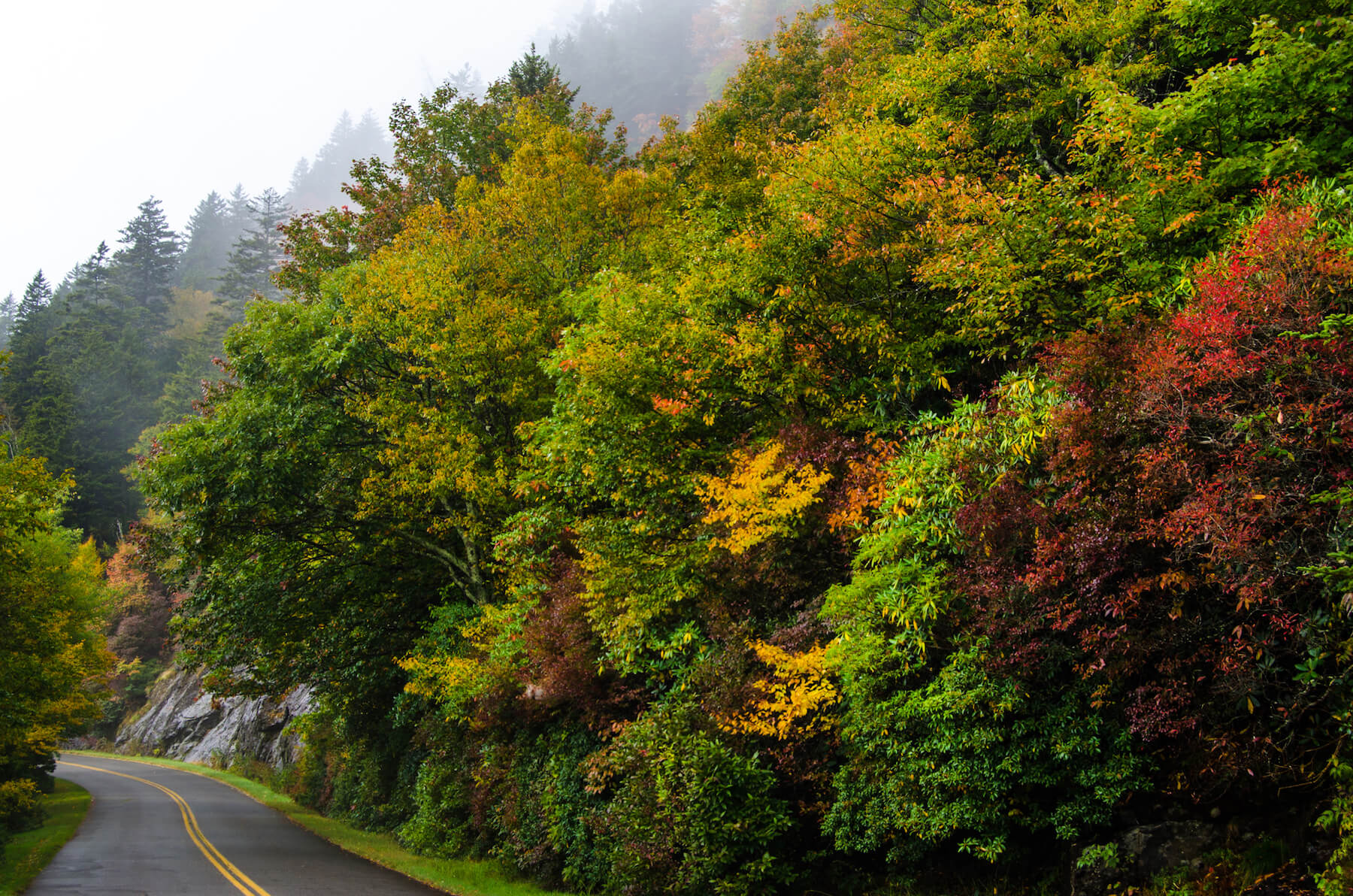 Blue Ridge Parkway Autumn (1)