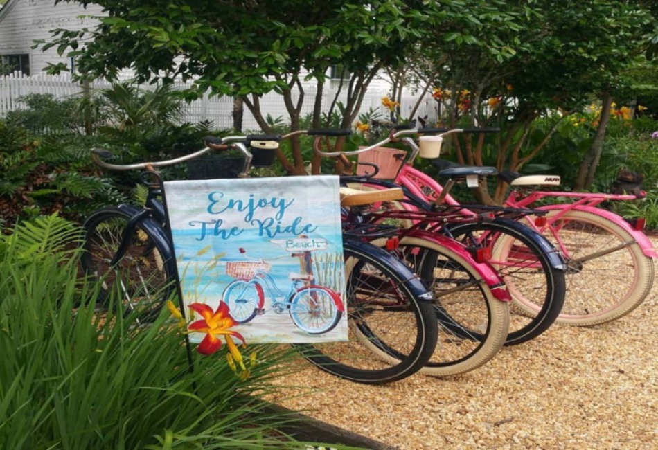 pecan tree bikes