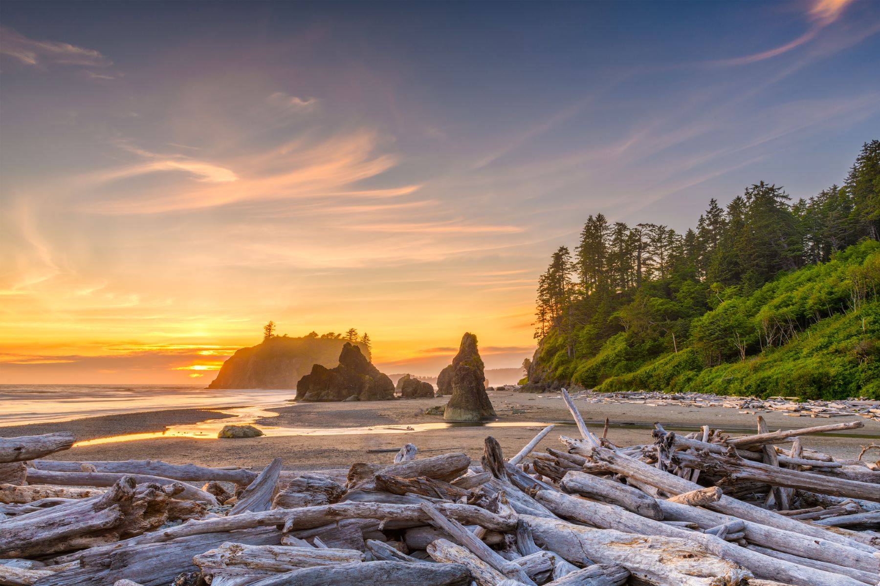 The Top 10 Olympic Peninsula Road Trip Stops Select Registry