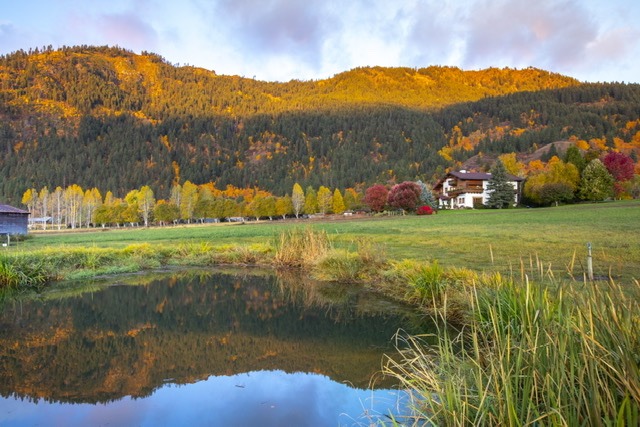 Abendblume with fall colors in the mountains