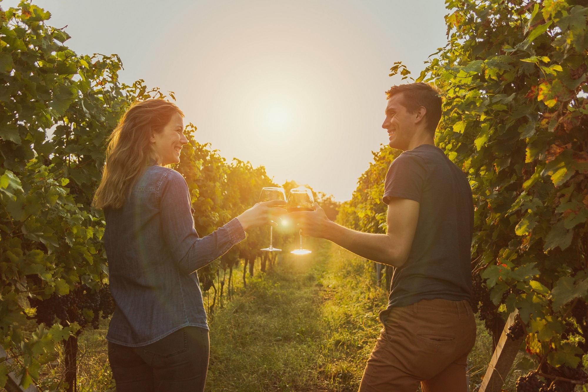 woman with denim shirt and man with t-shirt drinking red wine during sunset. grapevine in Ticino.