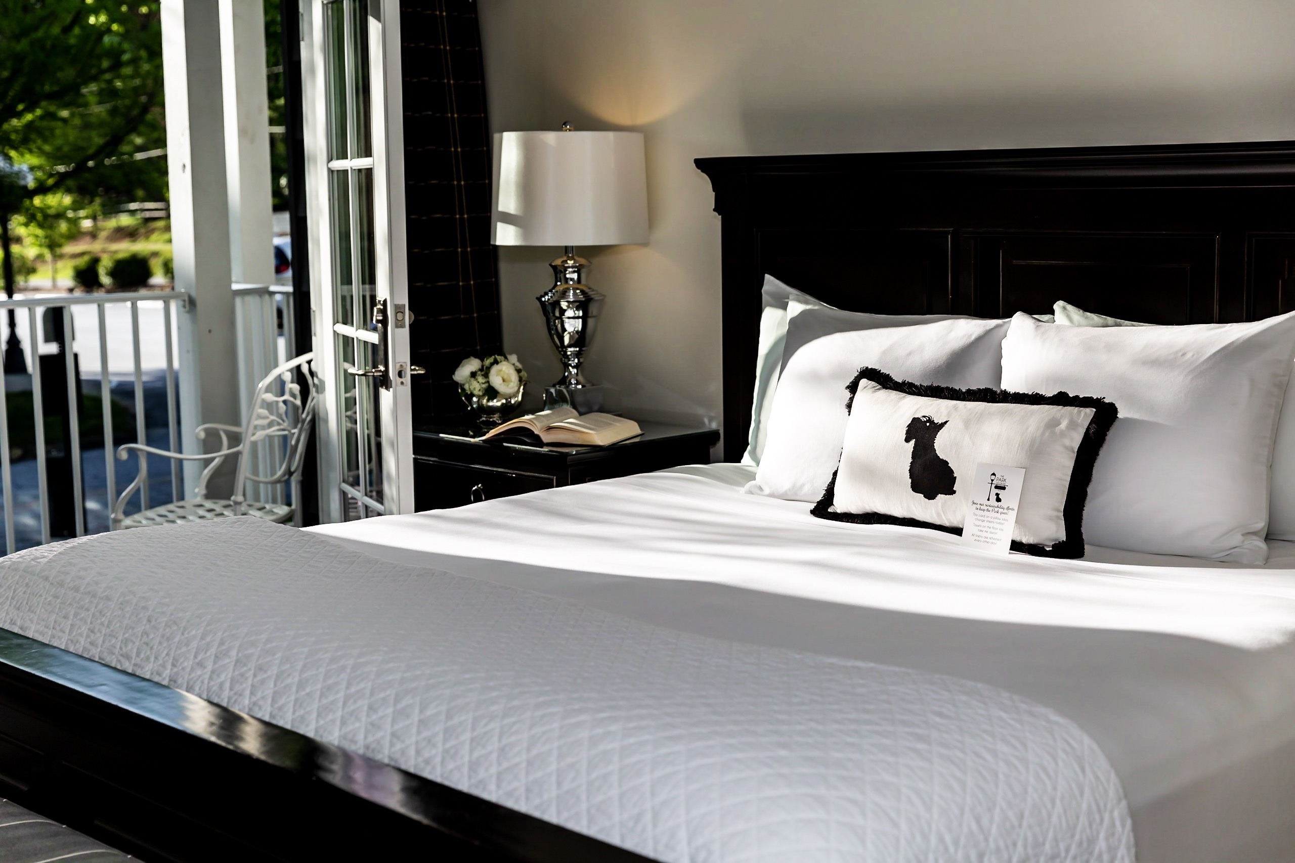 Luxury and Pet Friendly Boutique Hotel Room