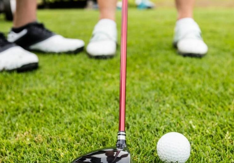golf with your friends two controllers golf with your friends two controllers
