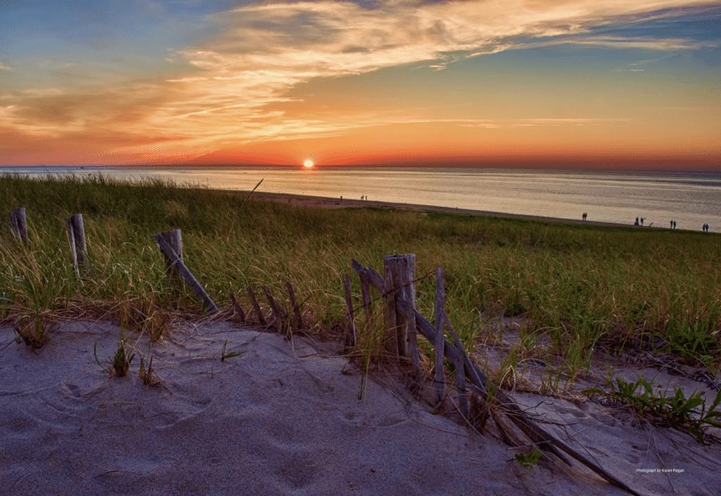 are dogs allowed on cape cod national seashore