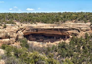 mesa verde cliff overhang with pine trees