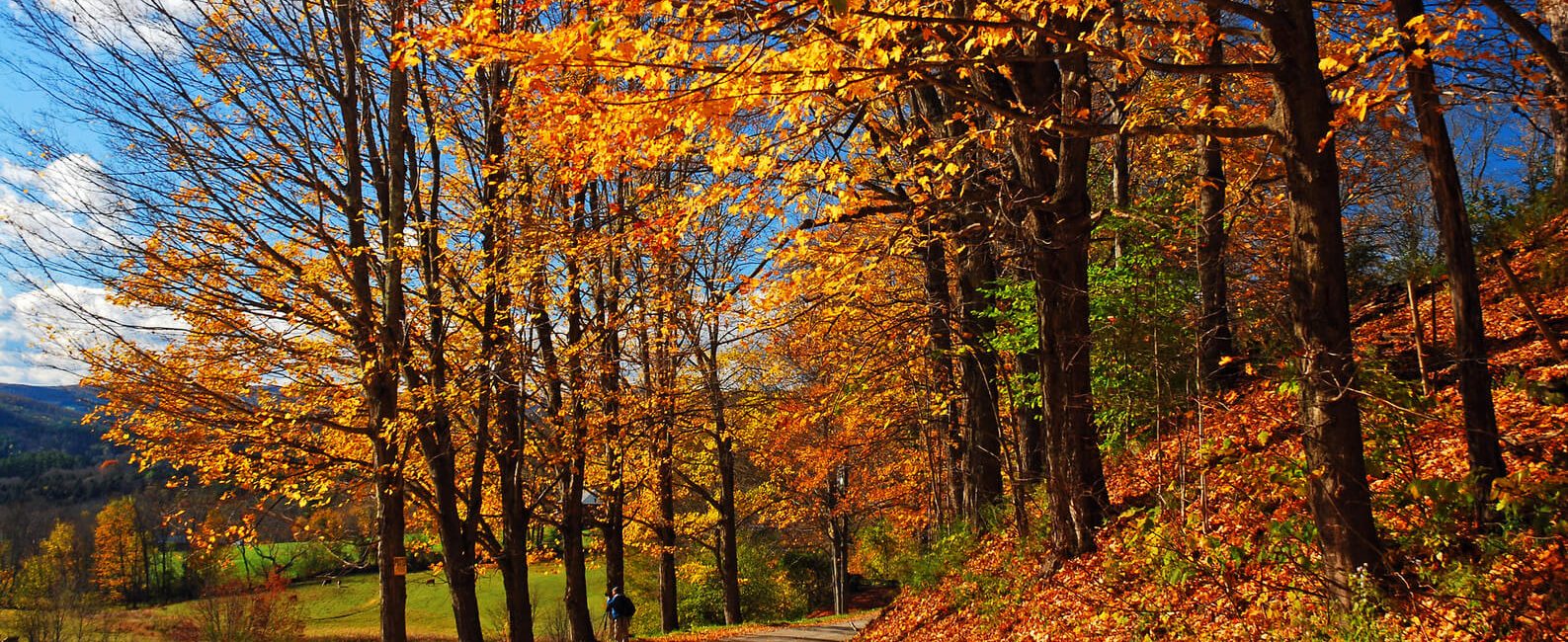 10 of the Top Destinations to See Fall Foliage in the Northeast, US
