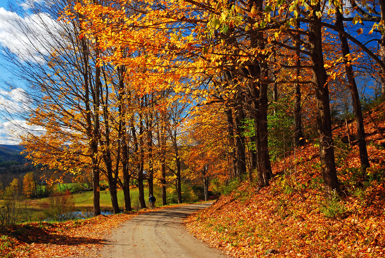 where are the best fall colors in michigan