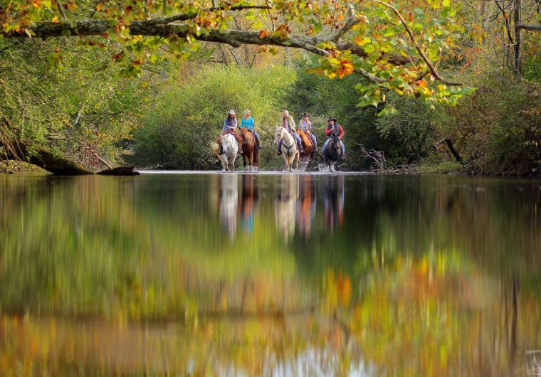 Beechwood Horseback riding