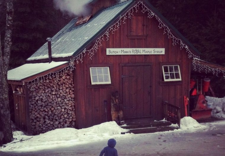 Maple Syrup Tree to Table Tour Select Registry