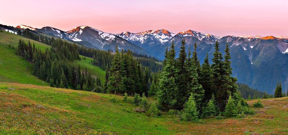 Enjoy gorgeous mountain views like this while exploring all of the things to do in the Olympic National Park in 2021