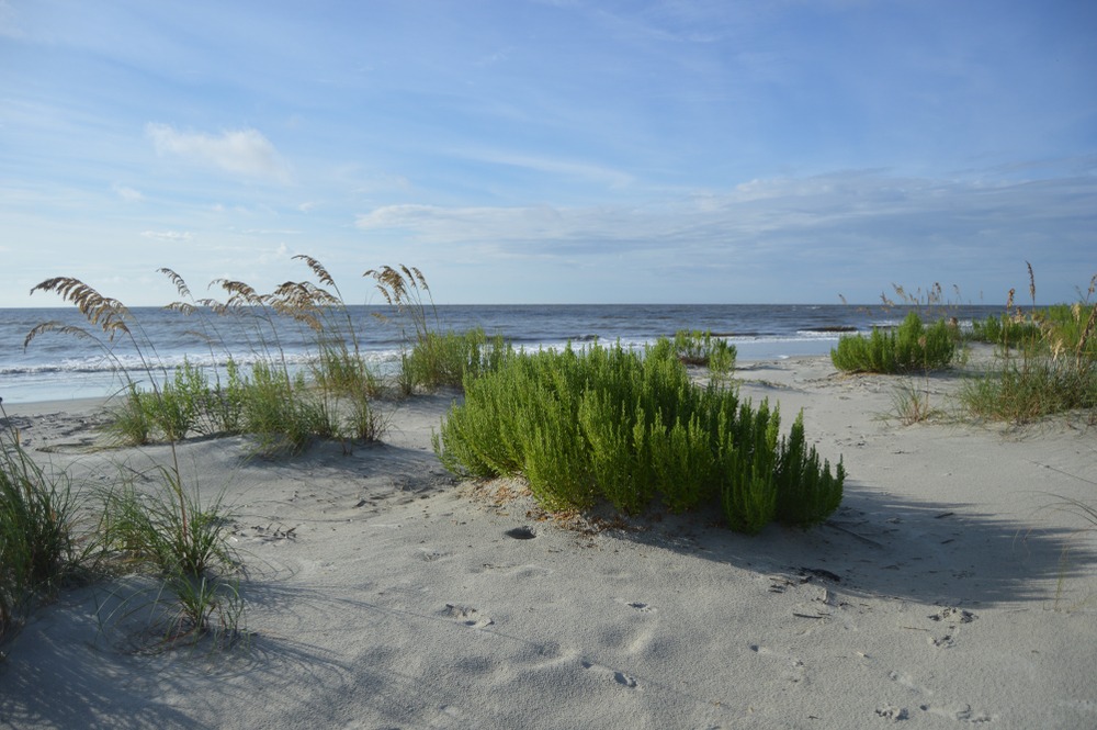 Stunning Beaches are waiting on Georgia's Golden Isles