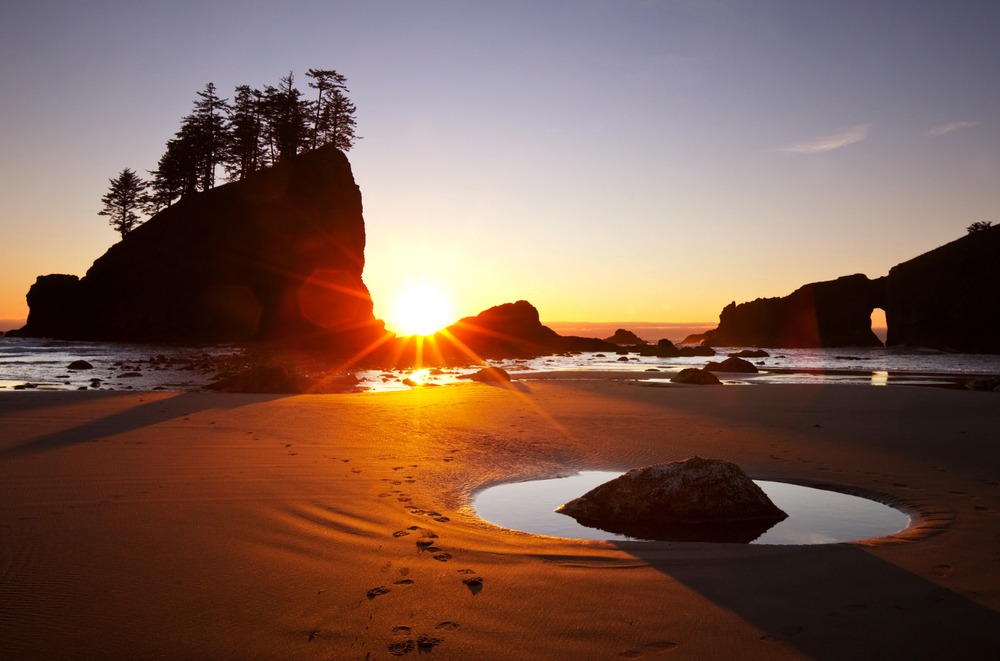 Visiting stunning coastal beaches like this are one of our favorite things to do in the Olympic National Park