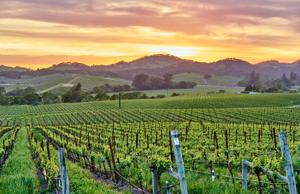 10 BEST Napa Valley Wine Tasting Destinations This Spring