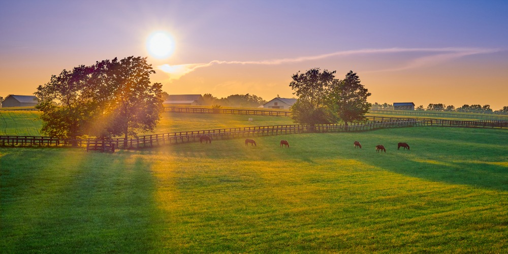 Things to do in Kentucky Near the Kentucky Bourbon Trail