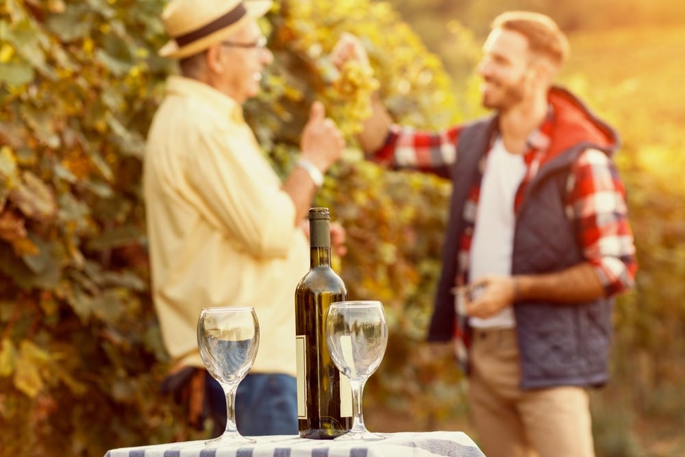 two guys in a vineyard with a bottle of wine and two wine glasses