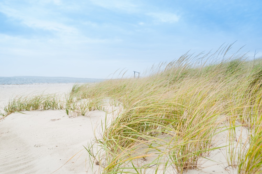 Spend some time at this beautiful beach, and enjoy one of the best things to do in Cape Cod This Summer