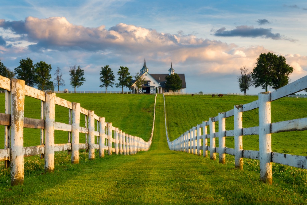 lexington area horse farm tours