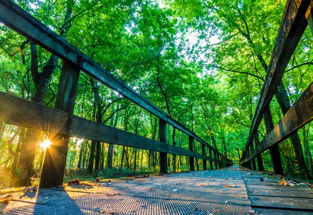 Hiking along the stunning Natchez Trace Parkway in Mississippi