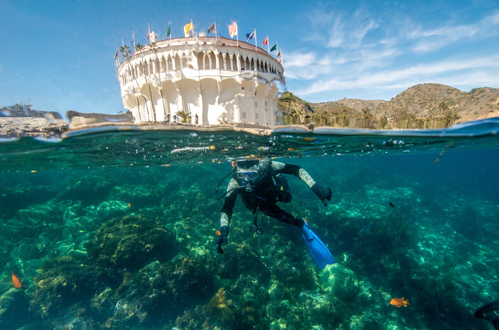 tours on catalina island