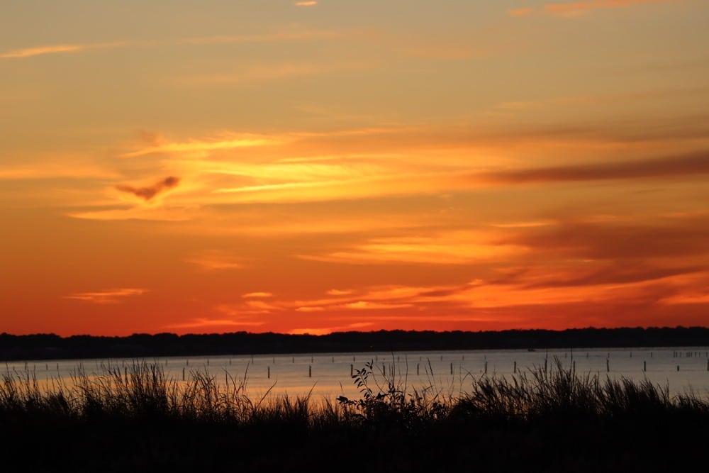 State Park in Virginia Beach