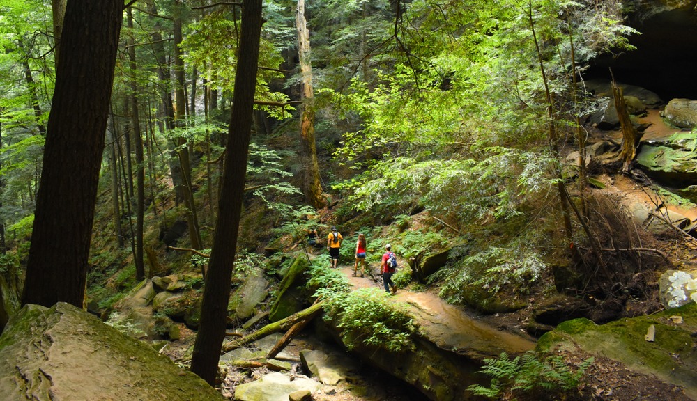Explore these beautiful Hocking Hills Trails