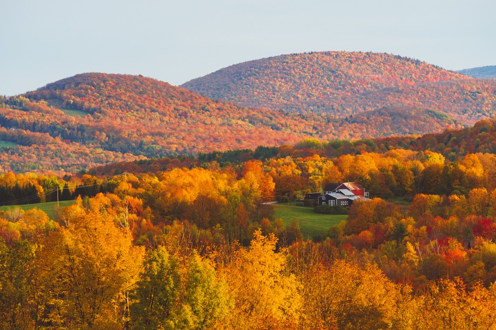 Fall Colors In Vermont 2024 - Lora Sigrid
