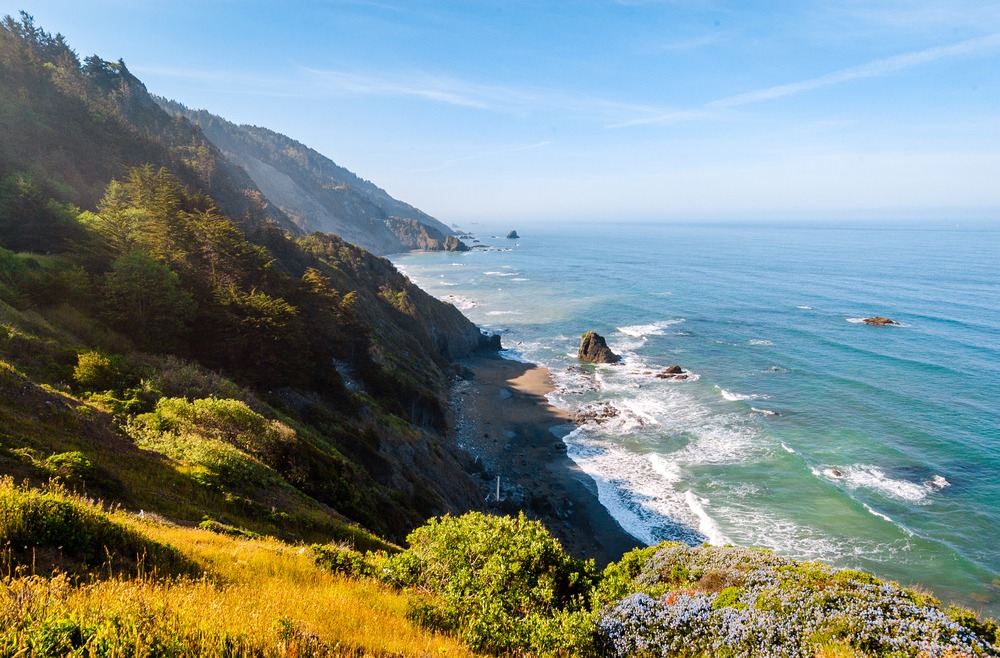 beautiful coastline near Redwood National Park