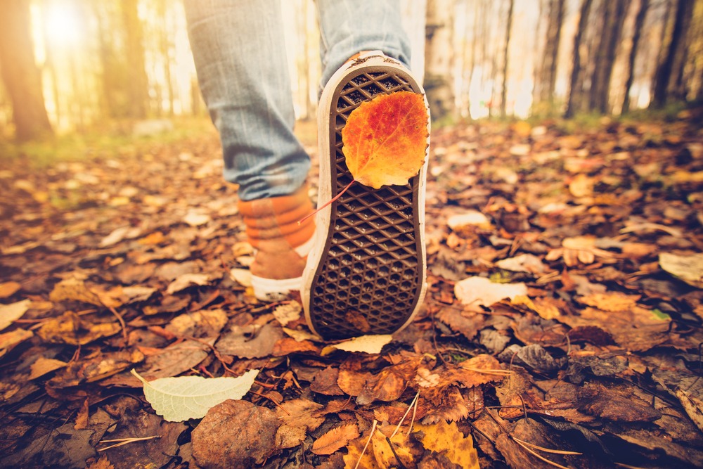 Enjoy some picturesque fall hiking at Mount Sugarloaf State Reservation in Massachusetts