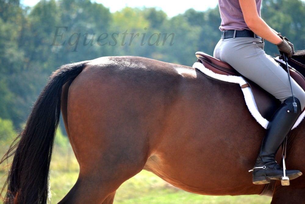 A horse country getaway while visiting the Tryon Equestrian Center in North Carolina